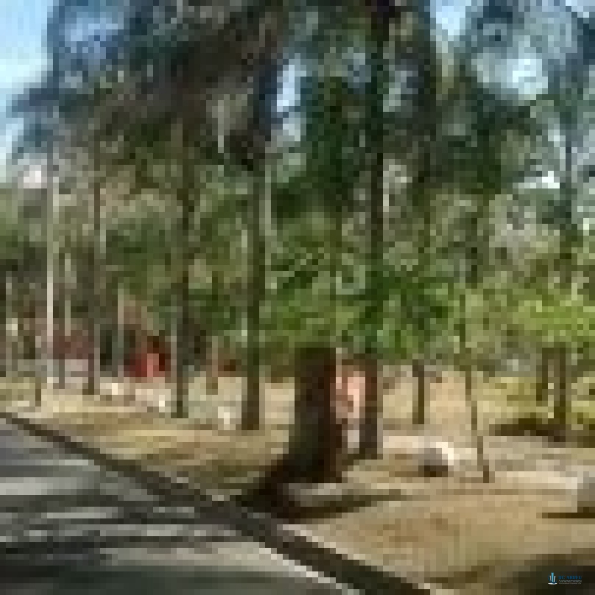 rua ovideo cavaleiro